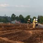 Fotka nr 1 z 12
