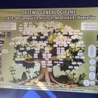 zdjęcie nr 42