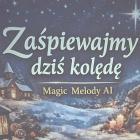 zdjęcie nr 17