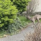 zdjęcie nr 7