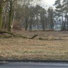 zdjęcie nr 36