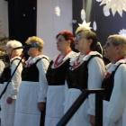 Na zdjęciu XIV Koncert Kolęd i Pastorałek Orkiestry Dętej OSP w Wierzchlesie / fot.:...