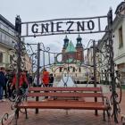 zdjęcie nr 10