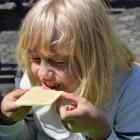 fot.: Szkoła Podstawowa im. 72. Pułku Piechoty „Radom w Konopnicy