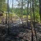 Na zdjęciu pożar lasu i nieużytków w Rząśni / fot.: OSP KSRG Sulmierzyce