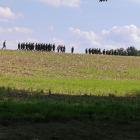 zdjęcie nr 91