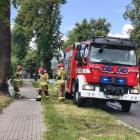 fot.: Iwona Domagała