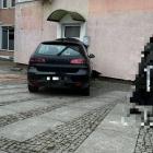 Fotka nr 2 z 3