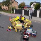 zdjęcie nr 10