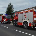 Fotka nr 3 z 4