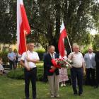 zdjęcie nr 40