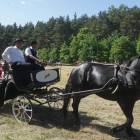 zdjęcie nr 29