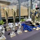 zdjęcie nr 31