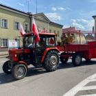 zdjęcie nr 18