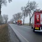 zdjęcie nr 9