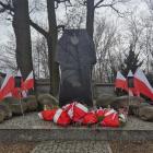 zdjęcie nr 13