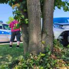 Na zdjęciu wypadek w Lututowie. Zderzenie auta z motocyklem / fot.: Joanna Major