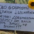zdjęcie nr 15