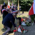 zdjęcie nr 7