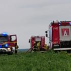 zdjęcie nr 16