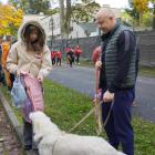 zdjęcie nr 38
