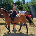 Zdjęcia z pikniku końskiego w Wieruszowie / fot.: Elżbieta Mizak