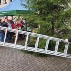 zdjęcie nr 47