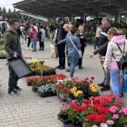 Na zdjęciach Targi Rolno-Ogrodnicze w Sulmierzycach / fot.: Sławomir Rajch
