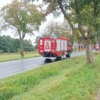 zdjęcie nr 8