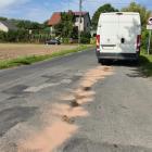 fot.: Iwona Domagała