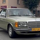 zdjęcie nr 184