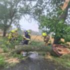 Zdjęcia z usuwania skutków wichury w gminie Sulmierzyce / fot.: OSP KSRG Sulmierzyce