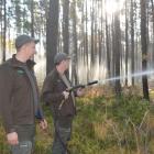 Fotka nr 2 z 38