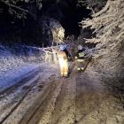 Akcja strażaków z OSP KSRG Działoszyn i OSP Trębaczew. Na zdjęciu usuwanie z drogi...