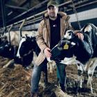 Na zdjęciu Tomasz Szczepański, rolnik i hodowca krów z Rososzy (gm. Biała, pow....