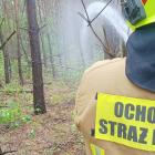 zdjęcie nr 52