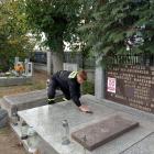 zdjęcie nr 7