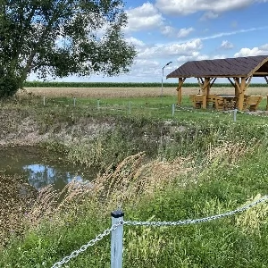 Zdjęcie: Wieluń wiadomości Kulisy Powiatu Portal gazeta Kulisy kulisy