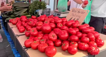 Sprawdziliśmy ceny na targowisku w Wieluniu. Ile kosztują warzywa i sadzonki?