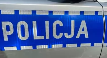 Stracił panowanie nad pojazdem i uderzył w ogrodzenie
