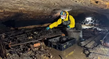 Zakończono badania w krypcie dawnego kościoła bernardynek. Archeolodzy dokonali interesujących odkryć