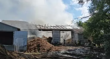Ogromny pożar budynku gospodarczego - w środku były świnie, straty są ogromne