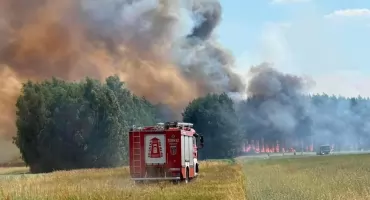 Poważny pożar w gminie Wróblew - spłonęły dwa hektary lasu oraz zboże na polu 