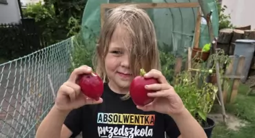Wyhodowała dwie gigantyczne rzodkiewki