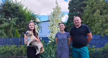 Czy w Wieluniu rośnie największa juka w Polsce 