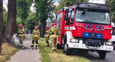 Strażacy gasili płonące drzewo naprzeciwko wieluńskiego cmentarza