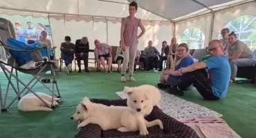 Cztery łapy niosące radość: Dogoterapia w Domu Pomocy Społecznej w Bobrownikach