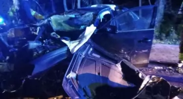 Auto uderzyło w drzewo - kierująca trafiła do szpitala