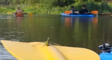 Pijani kajakarze zgubili się podczas spływu rzą. Służby odnalazły ich kilka kilometrów od mety