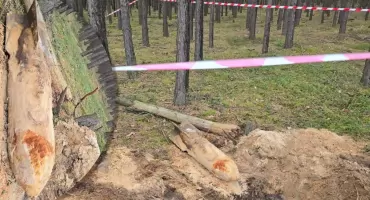 Bomby lotnicze leżały w lesie pod ziemią... Niebezpieczna znalezisko